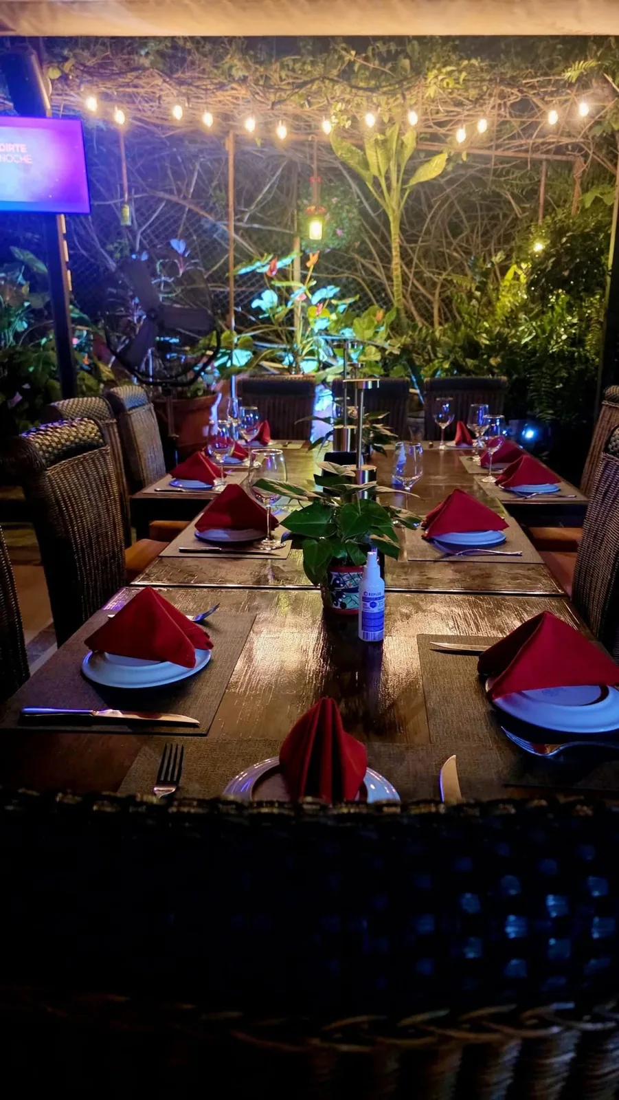 Terraza iluminada del restaurante Anturios